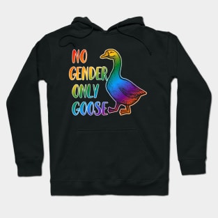 Funny No Gender Only Goose Rainbow LGBT Movement Quote Hoodie
